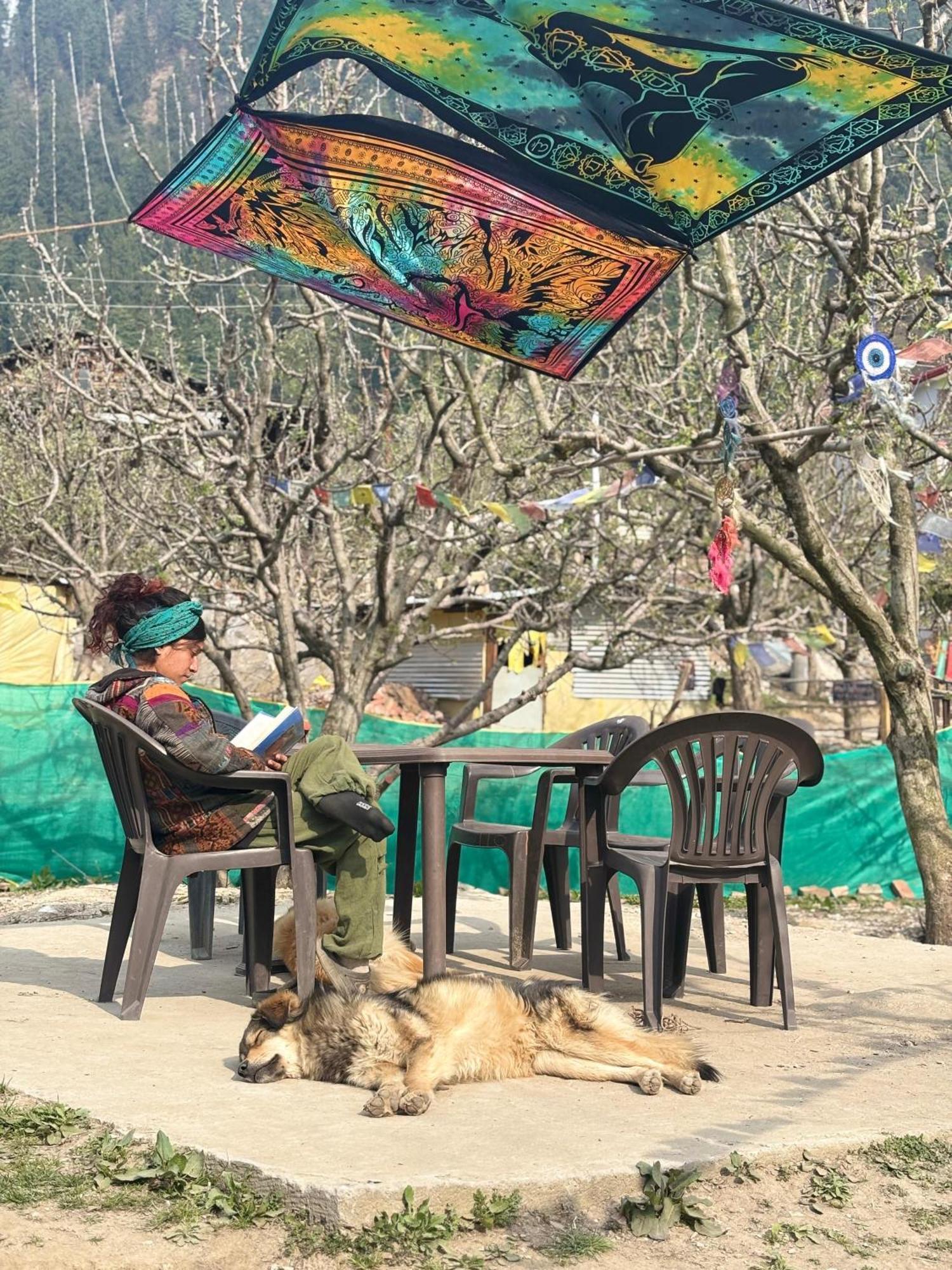 Shalom Guesthouse And Cafe Kalgha 외부 사진